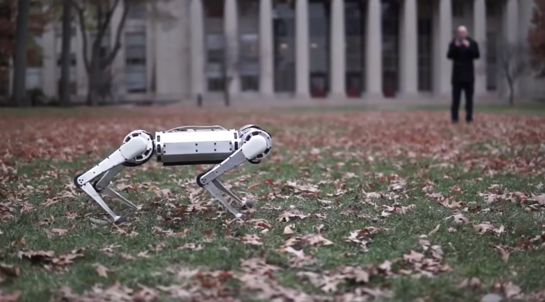 The MIT Mini Cheetah robot has a few tricks up its sleeve