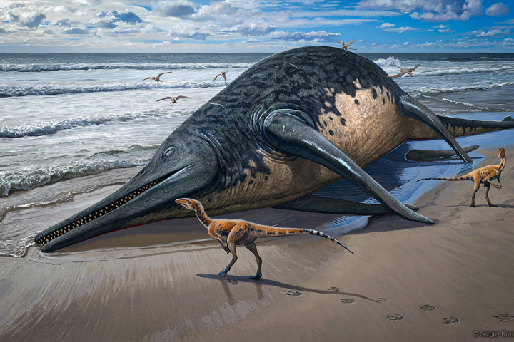 An artist's impression of Ichthyotitan severnensis washed up on a beach, while some curious dinosaurs investigate