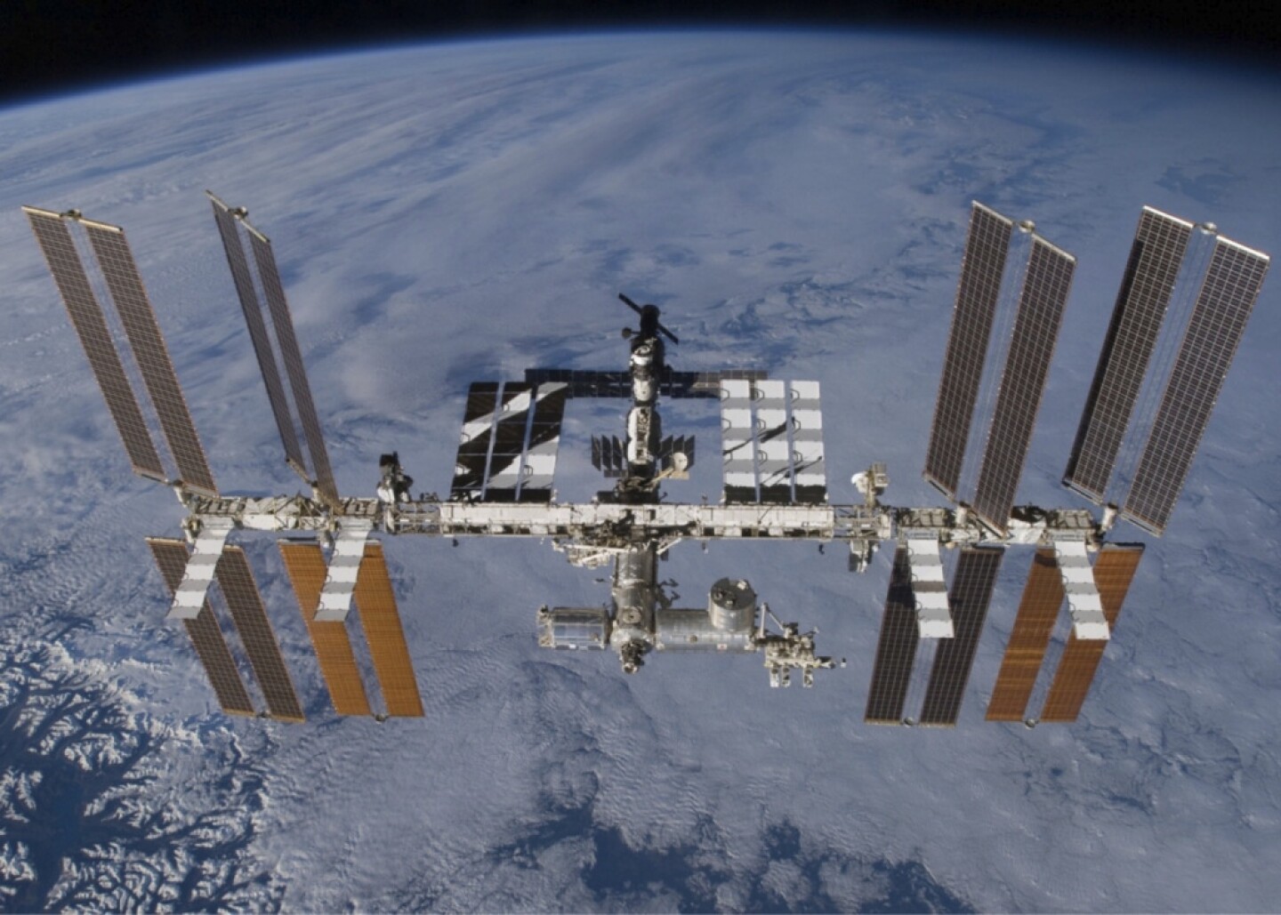 Bacterial colonies survive in space for years, could seed