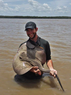 Kolmann used a combination of high-speed video and CT scans to see how two freshwater rays from the Amazon go about their business at mealtime