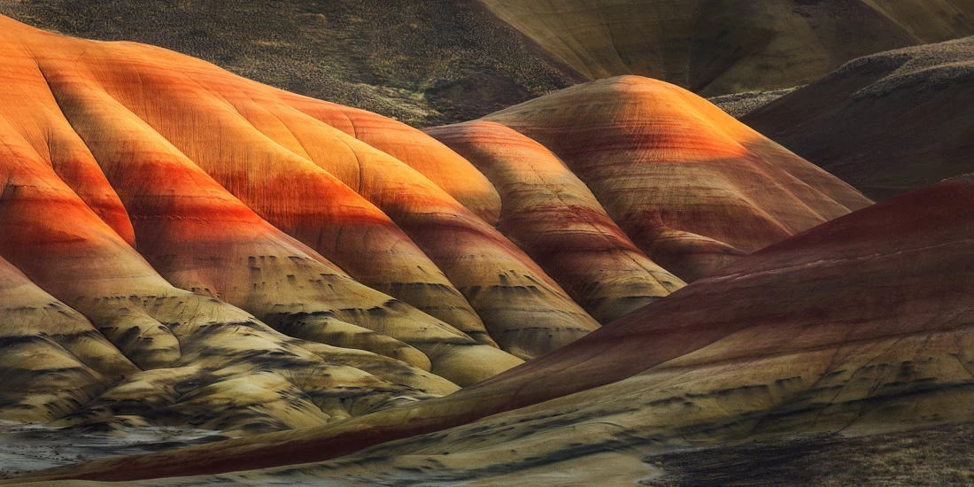 Highlight from the top 50 in Open Nature / Landscape