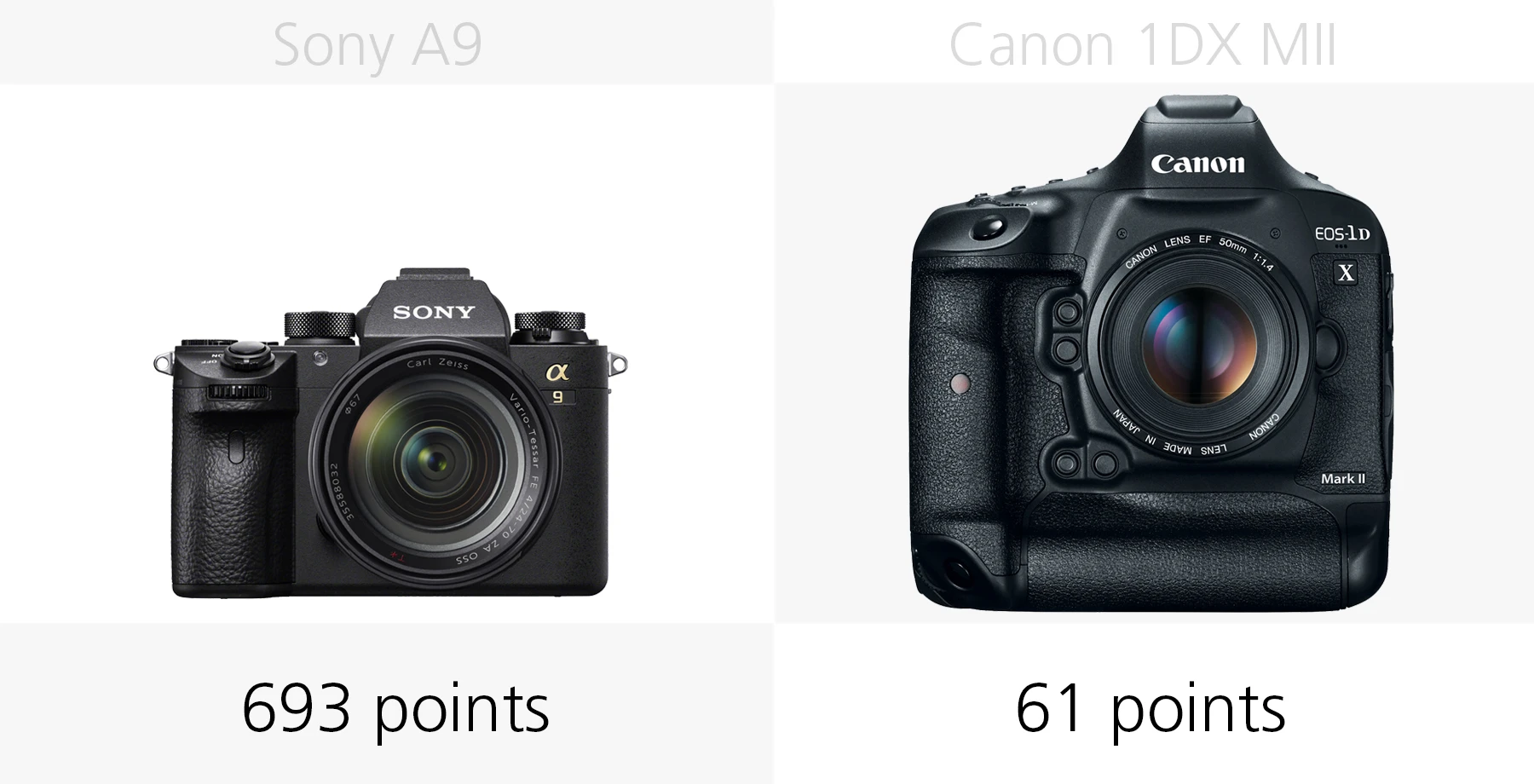 Comparing the autofocus systems of the Sony A9 and Canon 1DX Mark II