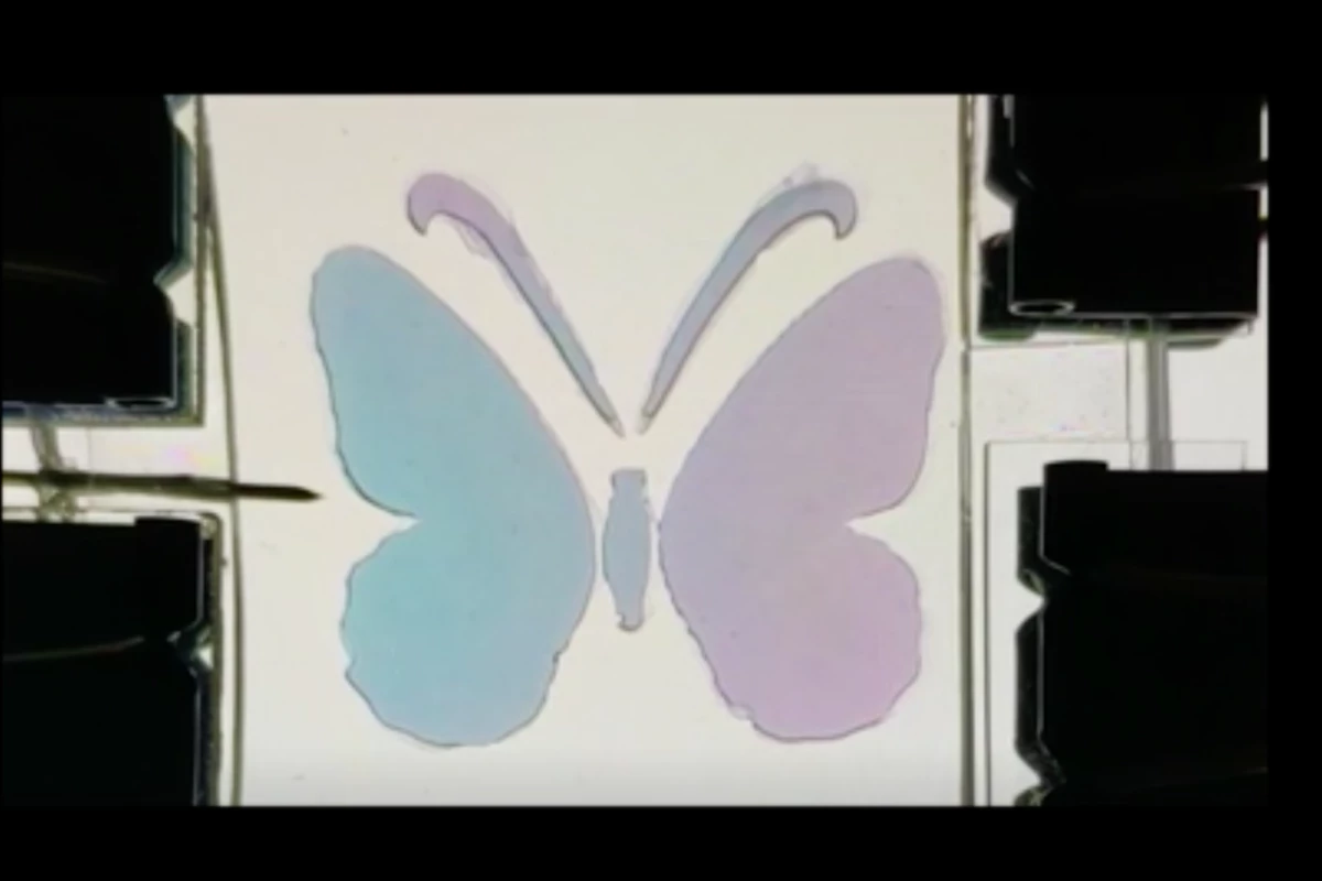 Color-changing film could give robots chameleon-like skin