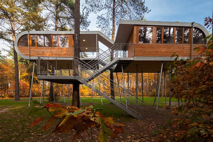 Four Belgian companies have commissioned the construction of a modern treehouse conference center by Baumraum architects