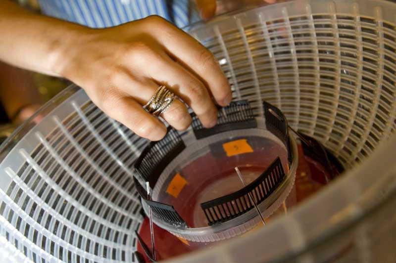 The Sally Centrifuge