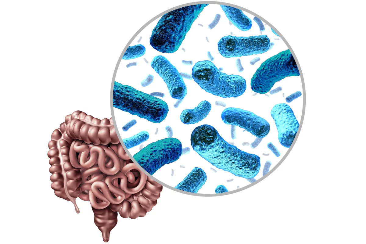 The research reports a novel link between the gut microbiome and prostate cancer