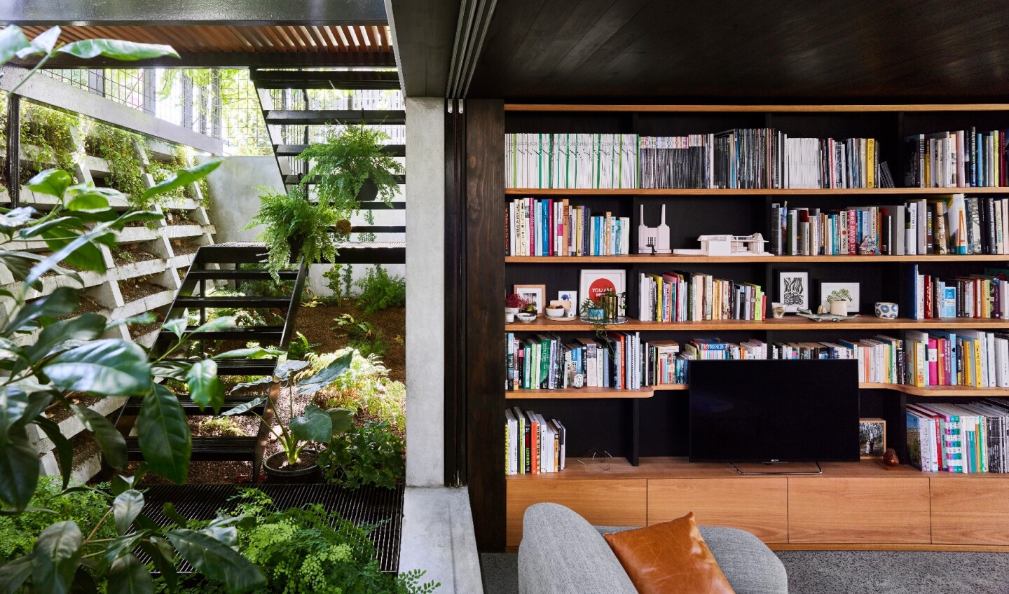 Inside the Terrarium House by John Ellway