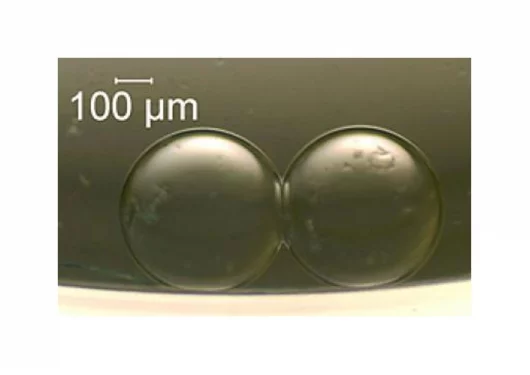 Two artificial cells that can act as a tiny battery(Credit: NIST)