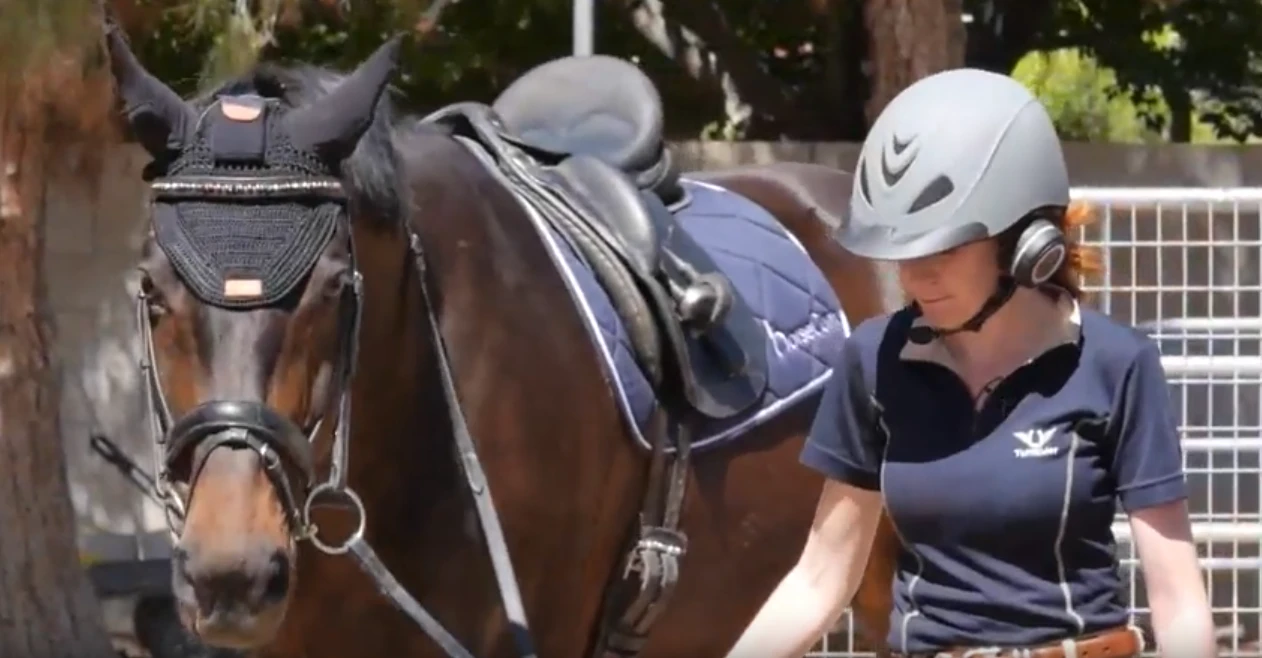 HorseCom is a headset that lets horses listen to music