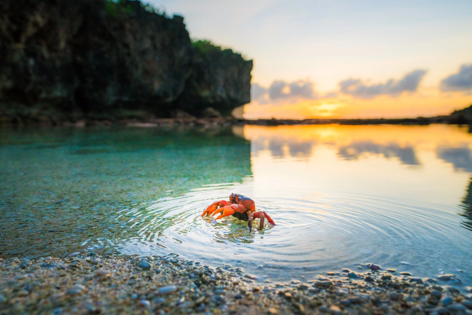 Google's Street View cameras have been deployed on Australia's Christmas Island, where they will capture the millions of crabs that famously migrate from the forest to the sea in December each year