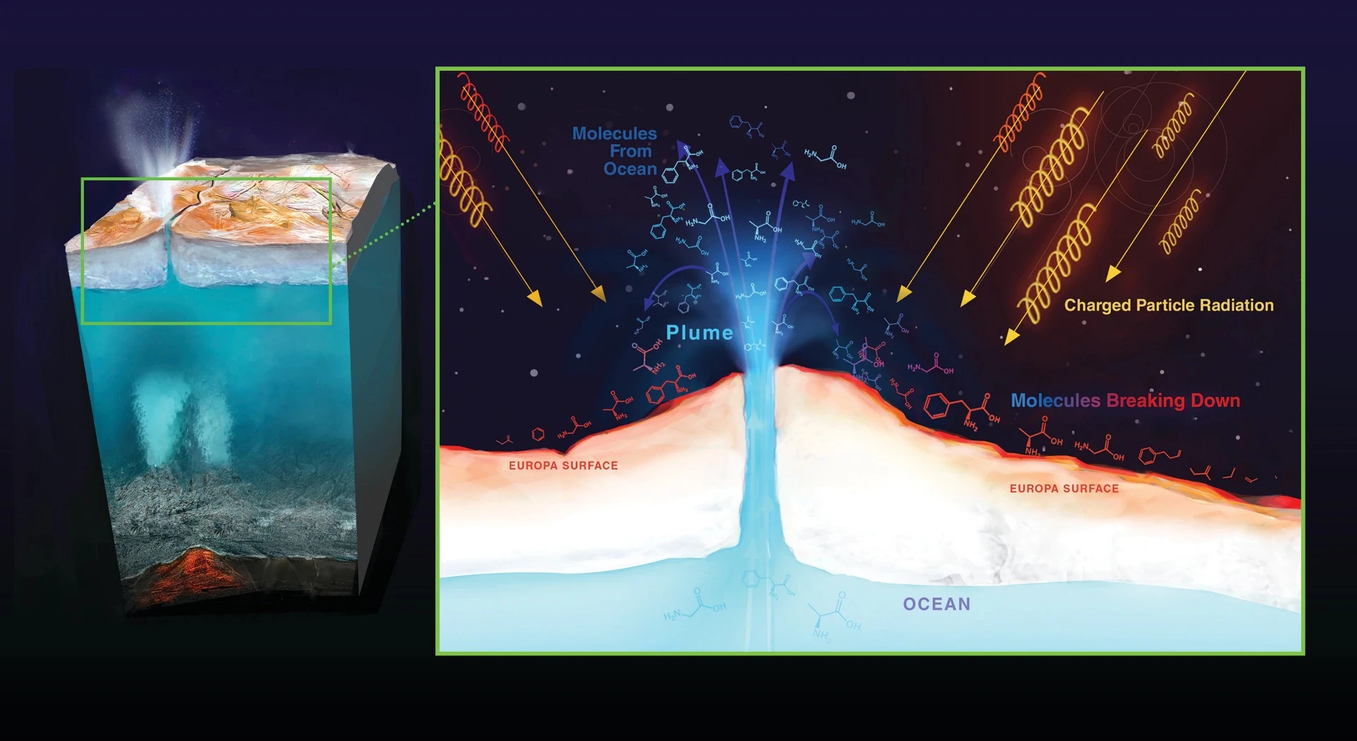 Radiation from Jupiter can destroy molecules on Europa's surface