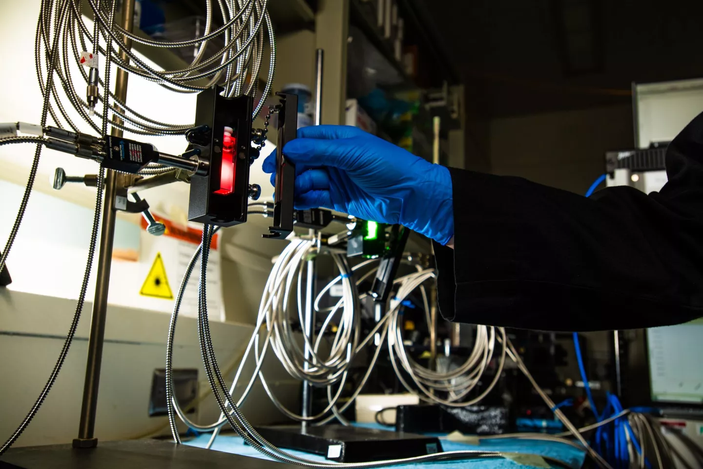 Raman sensor used in real-time monitoring