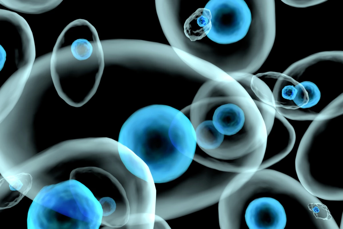 Scientists have developed a novel X-ray detector they say paves the way for real-time imaging of living cells