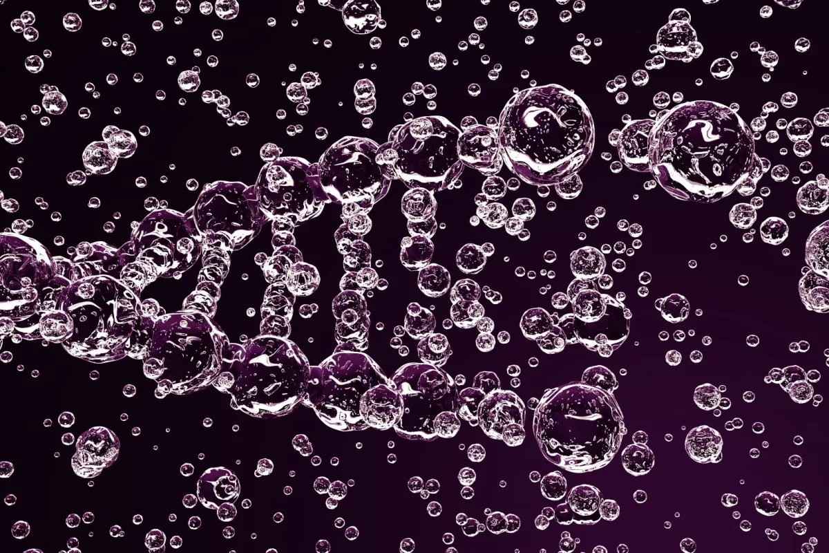 A new gene-editing enzyme called CRiSPR-Cas3 could function like a "DNA shredder"