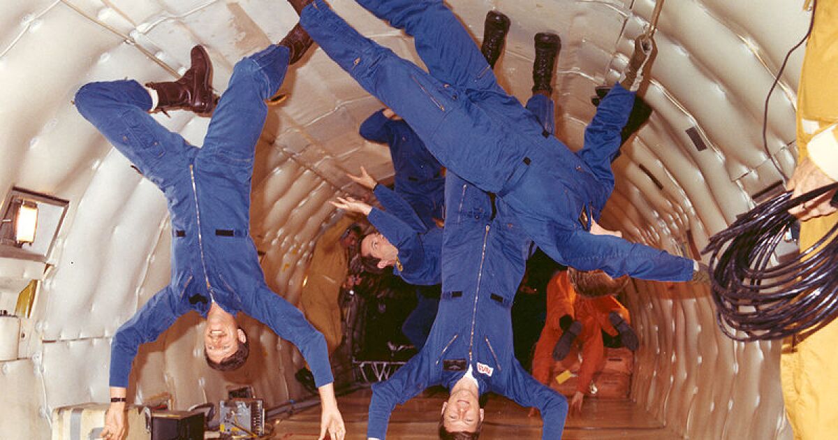 Самолет на котором тренируются космонавты. Модель невесомости. Кот в невесомости gif. В невесомости парят песня. В невесомости парят песня.