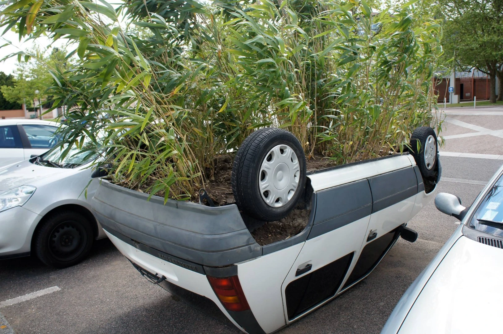 A car as a pot of flowers in 2013