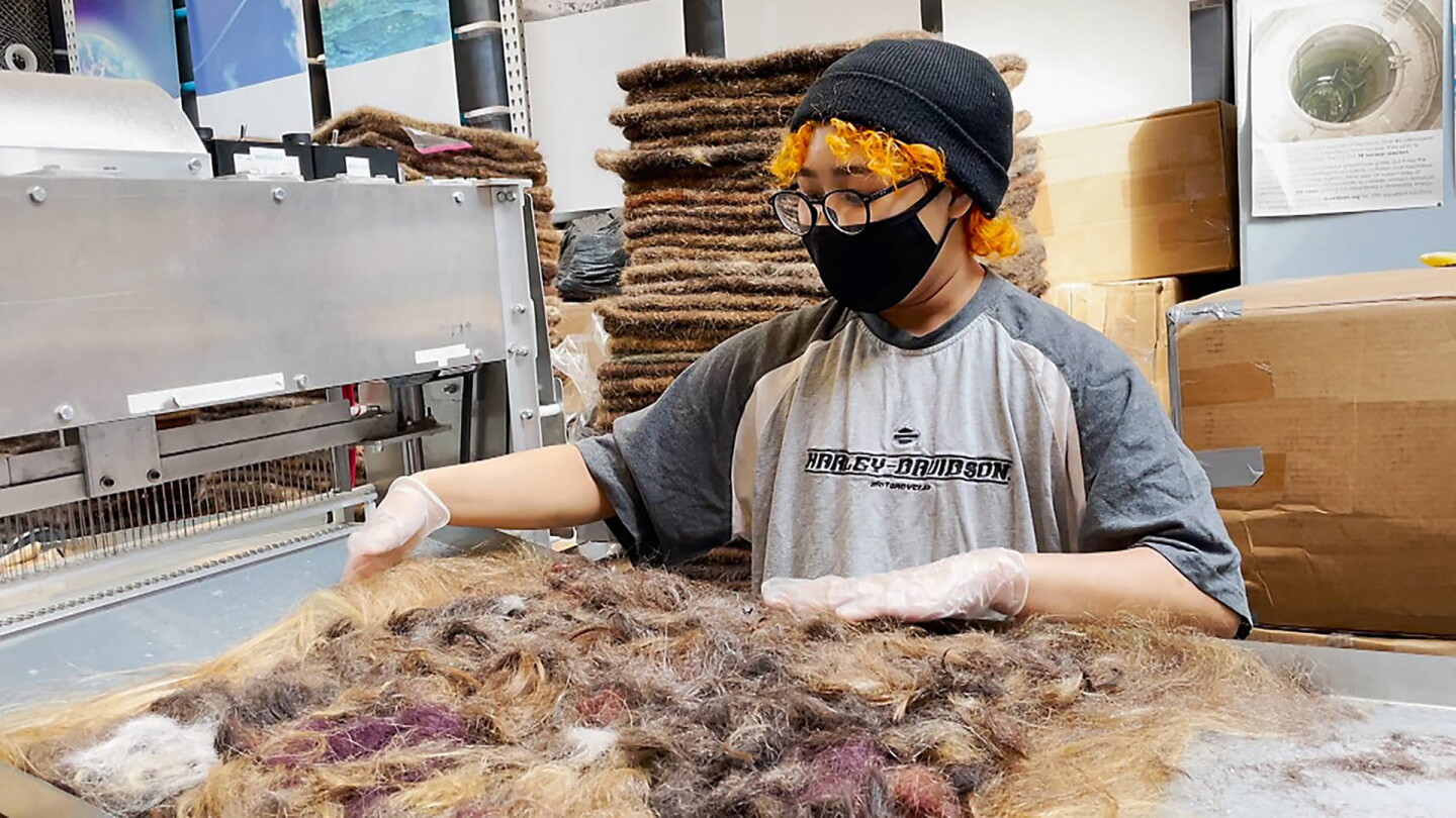 In the process of felting a hair mat. She has gloves on