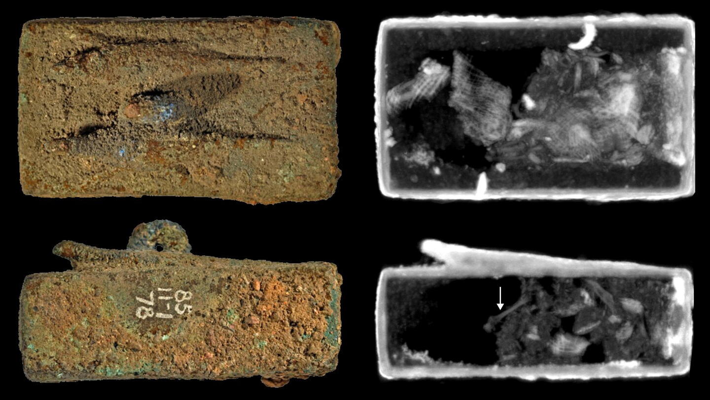 Animal coffin with lizard statue EA36167. Neutron imaging showing a lizard skull (inset)