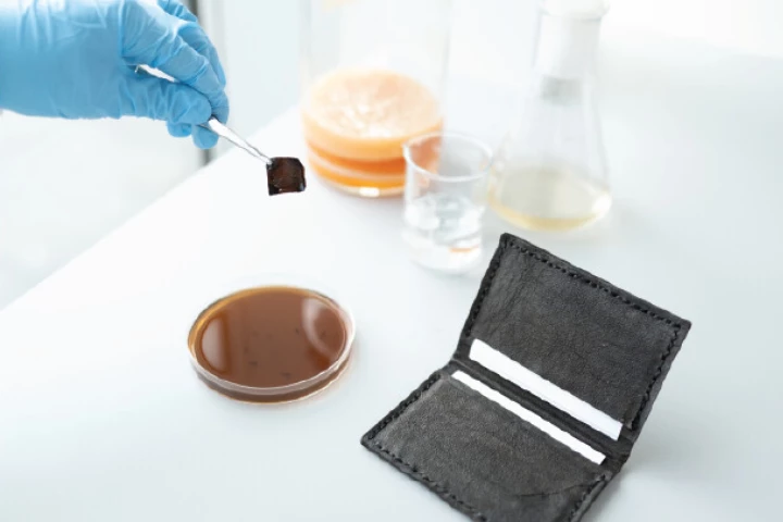 A wallet made of the self-coloring bacterial cellulose – colors other than black are in the works