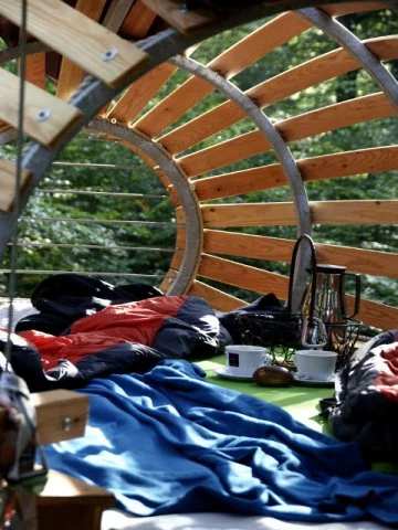 Wake up to the sounds and sights of the forest