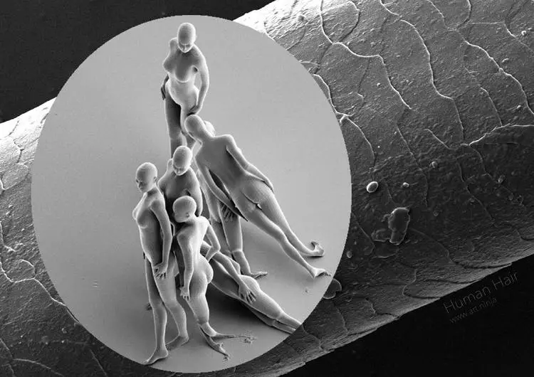 The sculpture "Intensity" compared to a human hair (Photo: Jonty Hurwitz)