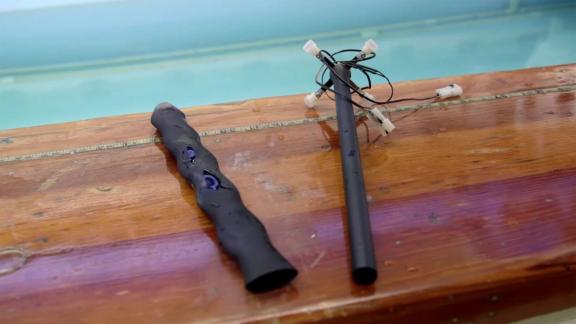 In order to confirm that the intricate structure of the whiskers is linked to the tracking ability, the team turned to 3D printing, creating a large-scale plastic version of a whisker