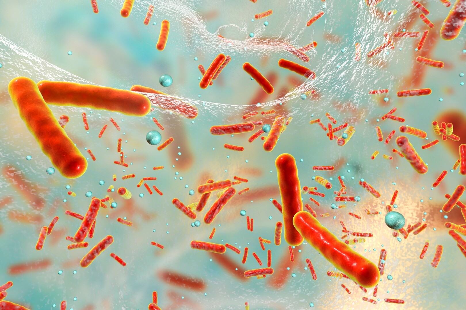 Bacteria found to sacrifice themselves to protect the colony from