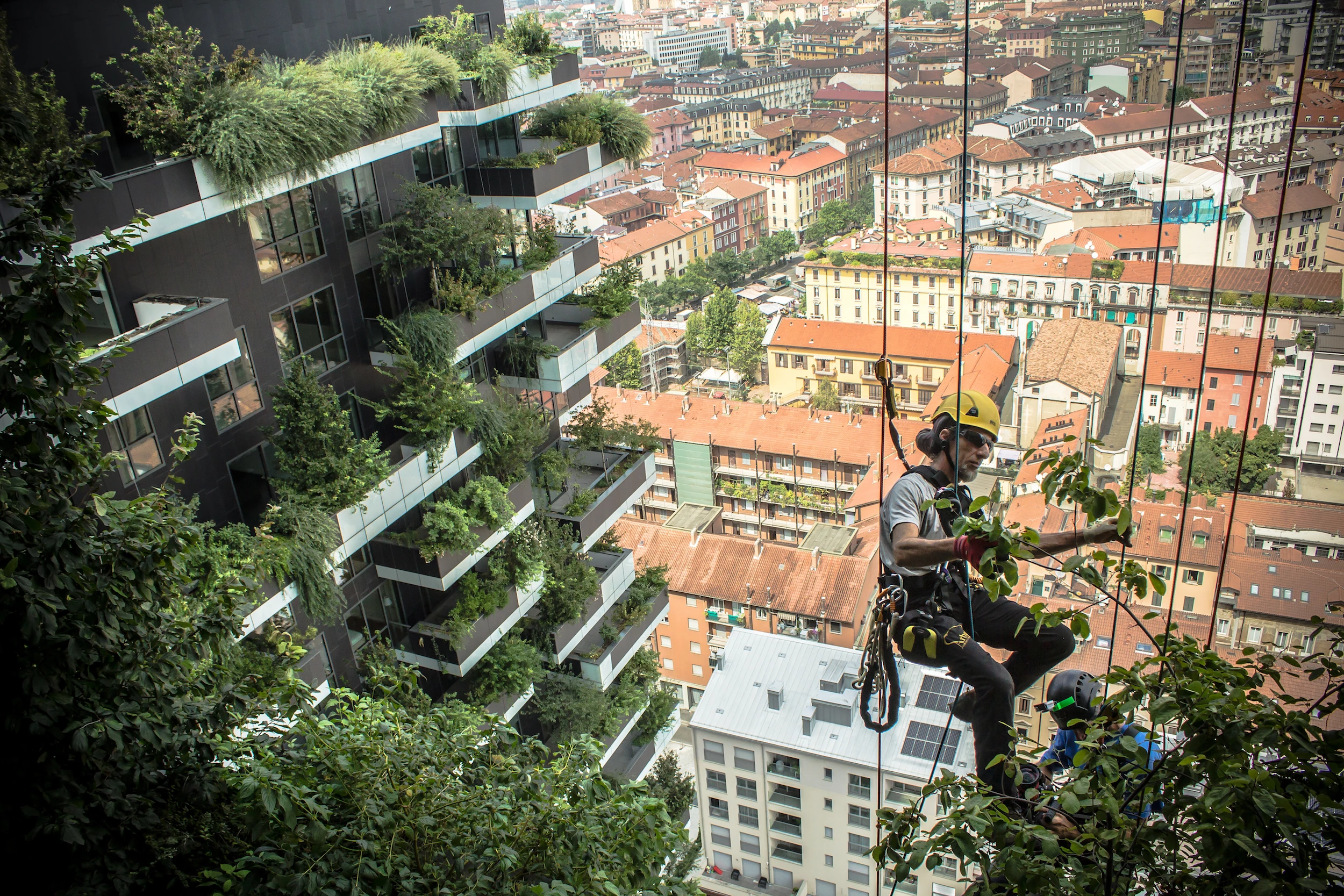Bosco Verticale's thousands of trees and shrubs must be maintained manually