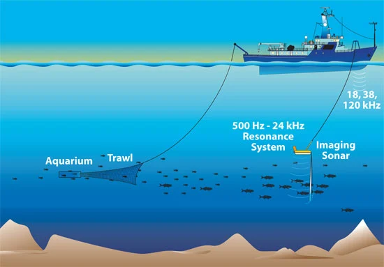 The setup that was used for testing the fish-detecting low-frequency system
