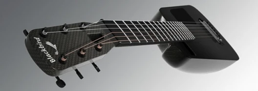 Blackbird's Rider carbon fibre acoustic guitar