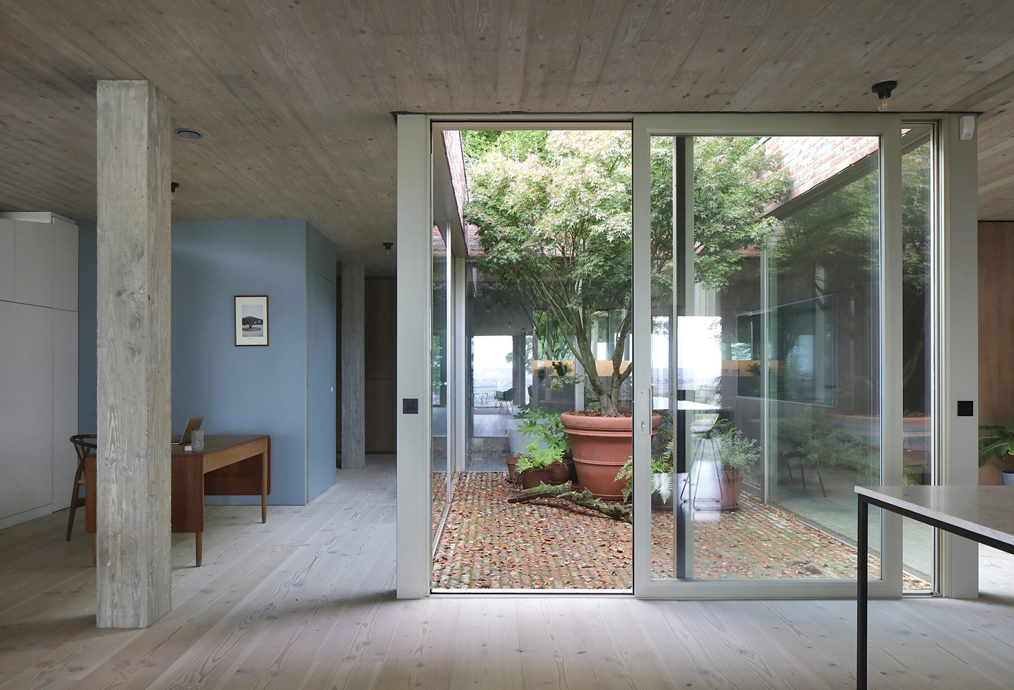 An internal garden is strategically placed at the core of the home