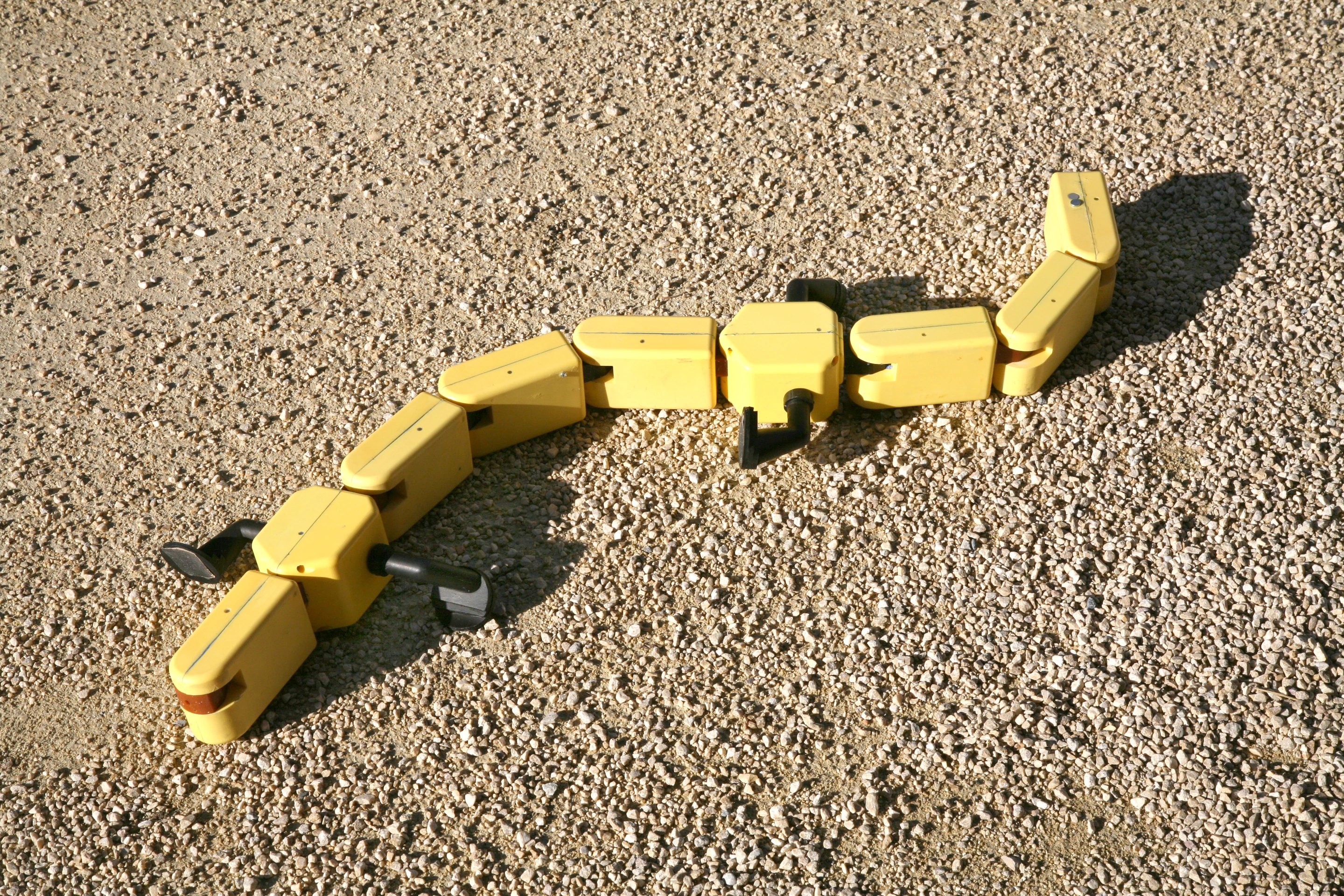 Salamandra robotica II is scheduled to be a guest of honor at Innorobo 2013, a robotics exhibition that runs from March 19 - 21 in Lyon, France (Photo Credit: A. Herzog, Biorobotics Laboratory, EPFL)