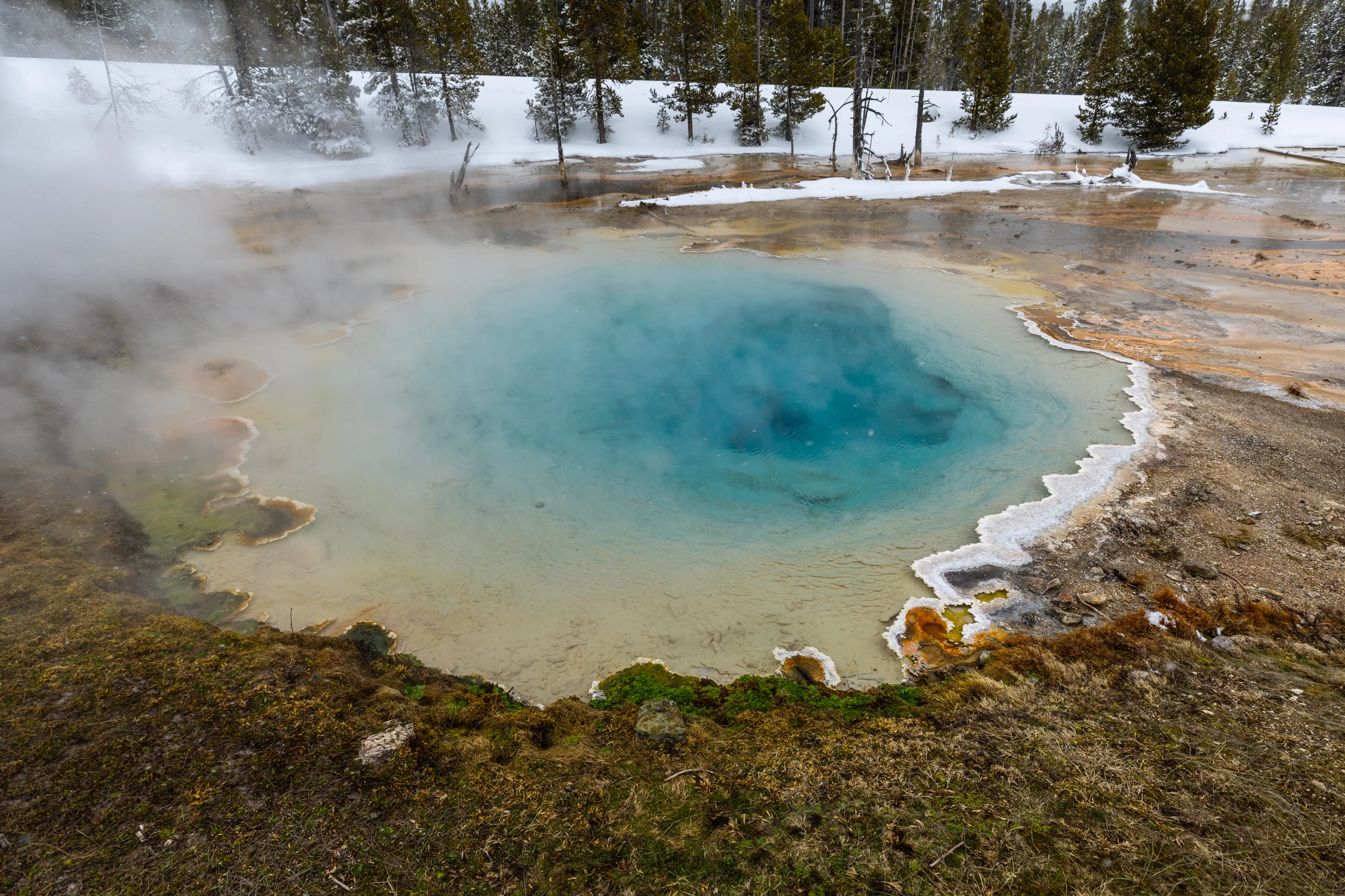 Morning Glory Pool, one of the most famous of the Yellowstone hot springs, looks different in the winter