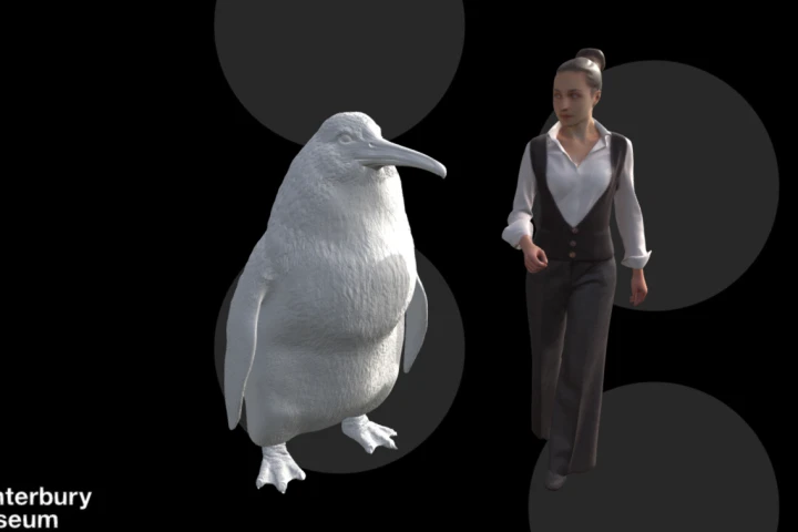 3D reconstruction of the monster penguin