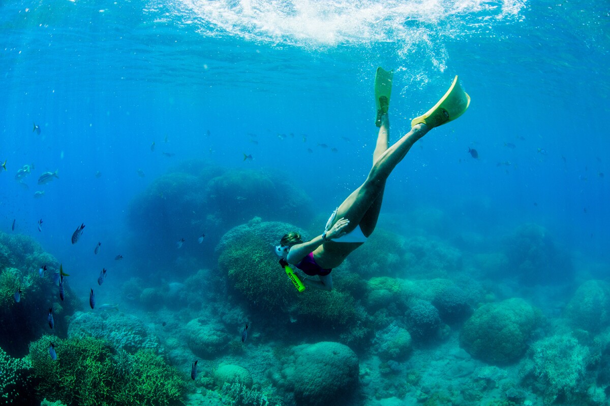 The Scorkl is a lightweight compact breathing device that enables you to breathe underwater for up to 10 minutes. If you don't have a compressor to recharge the $200 Scorkl, there's a $200 high pressure pump so you can fill it yourself.