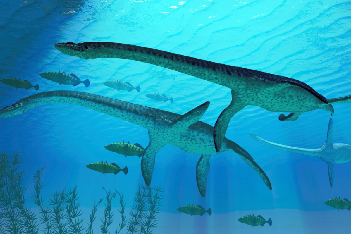 Plesiosaurs were apparently onto a good thing, a long time ago