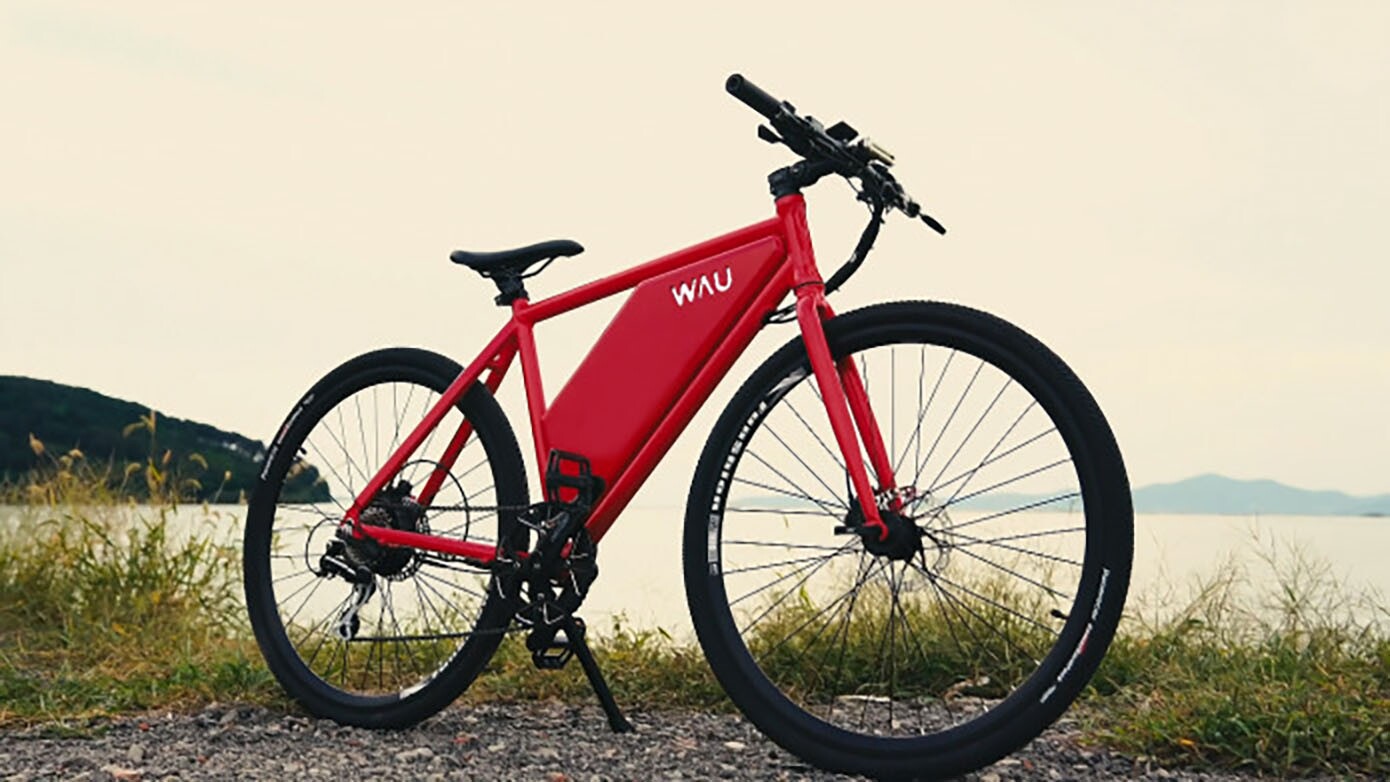 Wau is a basic e-bike, loaded with features, for an impressive price