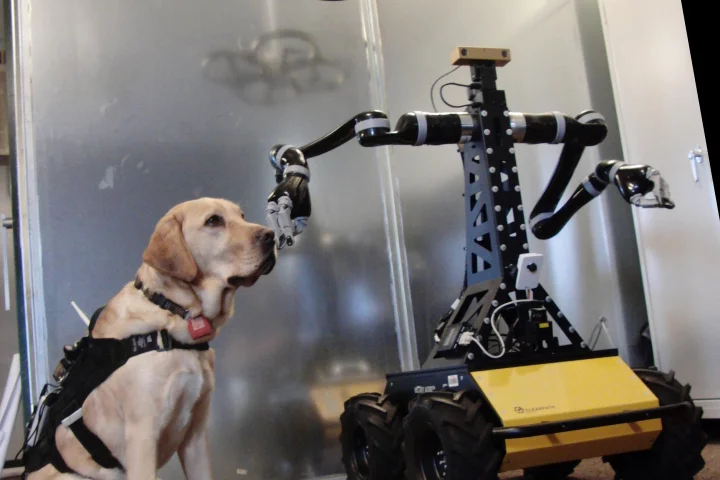 The harness is part of a system that also incorporates drones and robots (Photo: Alper Bozkurt)