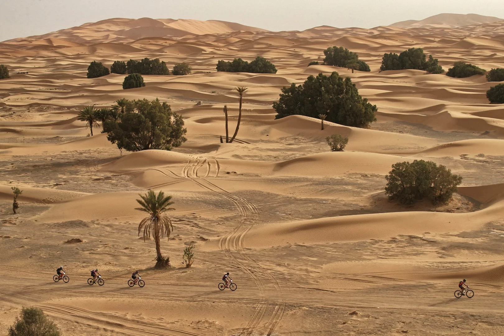 While some sections of the Gaes Titan Desert race take place along rocky tracks, others see riders contend with very sandy surfaces through the dunes
