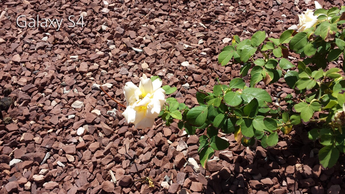 Galaxy S4: outdoors