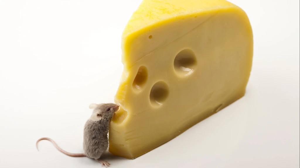 Blocking a marijuana-like chemical in the brain could allow one to eat more, exercise less and not gain weight (Photo via Shutterstock)