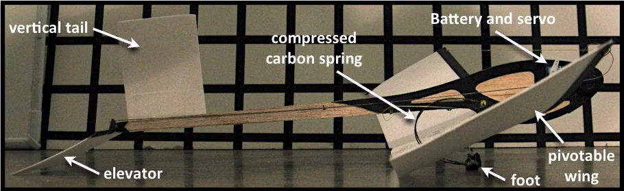 The Stanford team's jumping and gliding aircraft