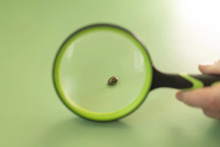 Scientists have identified the first species to "pester" humans (said species not pictured)