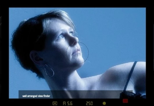 How it should look through the viewfinder