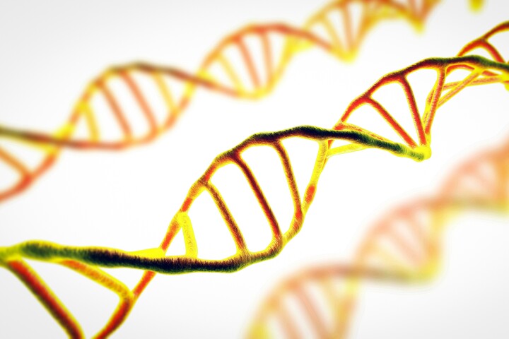 Discovery of the genetic mechanism behind a rare disease has implications for normal aging