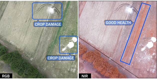 Using data analytics, the RaptorMaps system is then able to sniff out unhealthy crops.