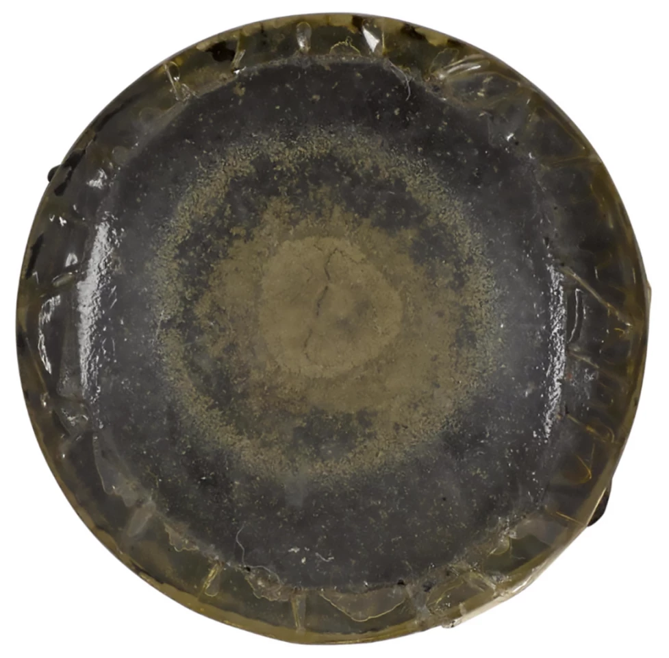 Bonhams sold this original Fleming penicillin mold culture for $46,250 on 7 December, 2016 in New York