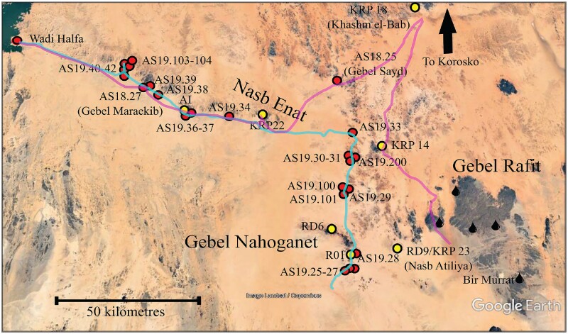 Illustration depicting recent survey locations (marked in red dots) within the Atbai Survey Project, along with past expedition sites (denoted by yellow dots), paths taken in 2018 (shown as a purple line), and those in 2019 (displayed as a blue line).Attribution: Cooper et al.