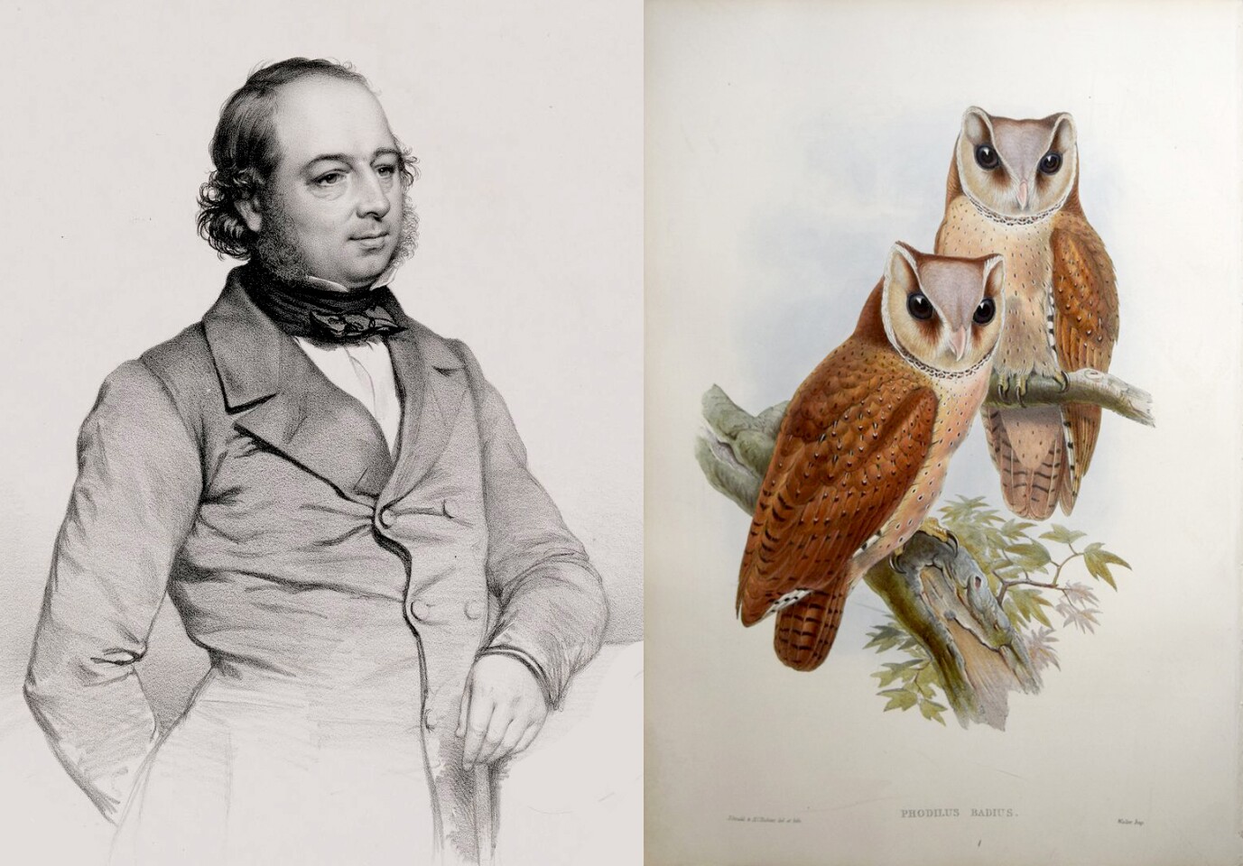 $225,000 | 'The Birds of Asia' by John Gould | Auction House: Arader Galleries (no link) | Sale price: US$225,000 | Official Estimate: US$175,000 to $225,000 | Date of sale: September 29, 2018