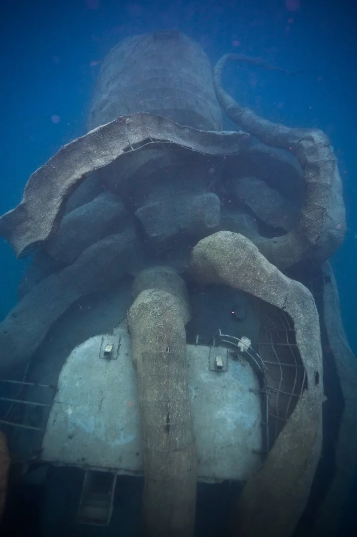 Imagine what this is going to like in ten or twenty years time when it is teeming with colorful life?